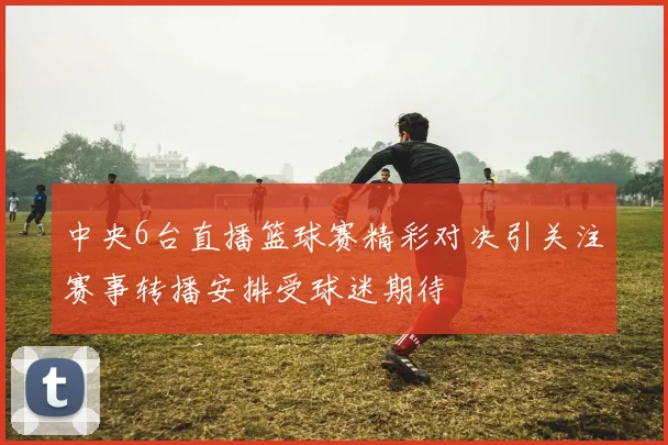 中央6台直播篮球赛精彩对决引关注赛事转播安排受球迷期待